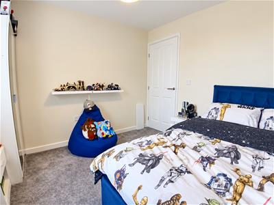 Picture 12